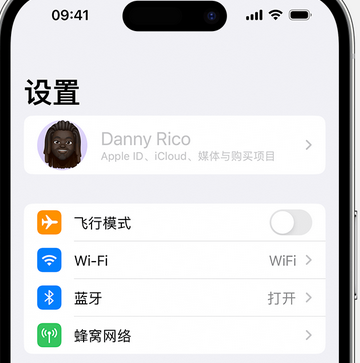 纳溪appleID维修服务iPhone设置中Apple ID显示为灰色无法使用 