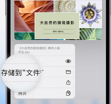 纳溪apple维修中心分享iPhone文件应用中存储和找到下载文件