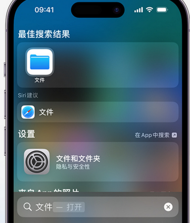 纳溪apple维修中心分享iPhone文件应用中存储和找到下载文件 