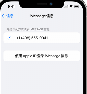 纳溪apple维修iPhone上无法正常发送iMessage信息 