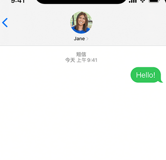 纳溪apple维修iPhone上无法正常发送iMessage信息