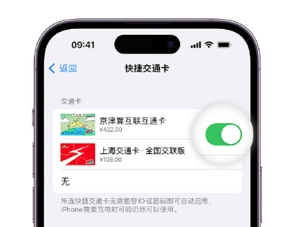 纳溪apple维修点分享iPhone上更换Apple Pay快捷交通卡手绘卡面 