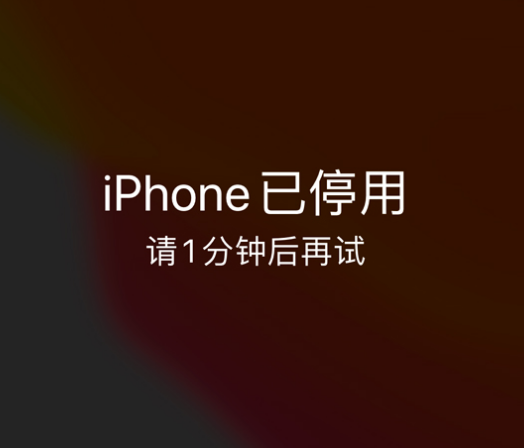 纳溪苹果手机维修分享:iPhone 显示“不可用”或“已停用”怎么办？还能保留数据吗？ 