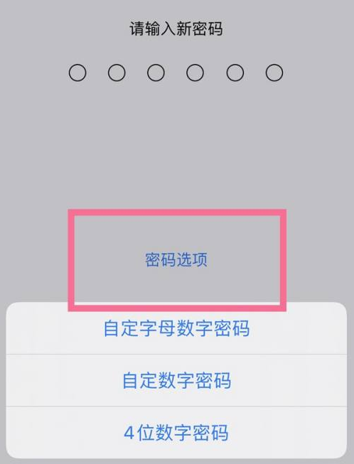 纳溪苹果14维修分享iPhone 14plus设置密码的方法 