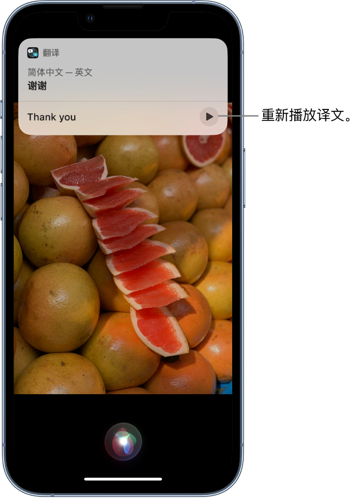 纳溪苹果14维修分享 iPhone 14 机型中使用 Siri：了解 Siri 能帮你做什么 