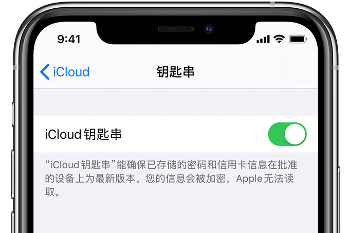 纳溪苹果手机维修分享在 iPhone 上开启 iCloud 钥匙串之后会储存哪些信息 